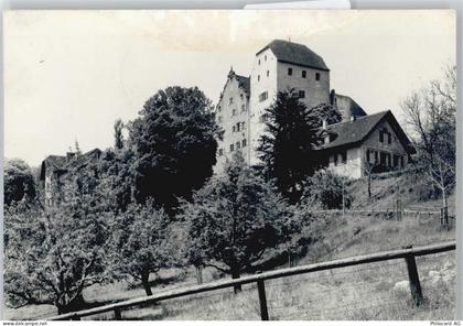 5103 Wildegg - Schloss Wildegg, Bergfried, Palas - 50577087
