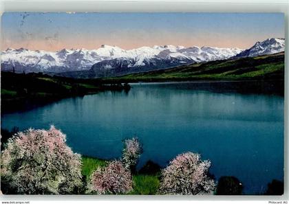 5705 Hallwil 1917 - Hallwilersee - 39373179