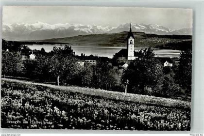 5707 Seengen Foto AK Hallwilersee - 39700582