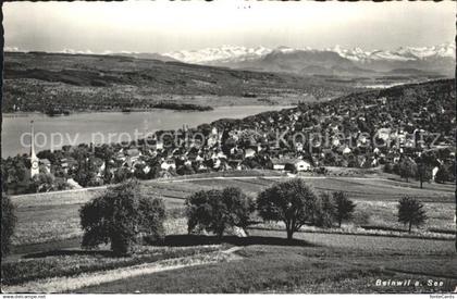 Beinwil See