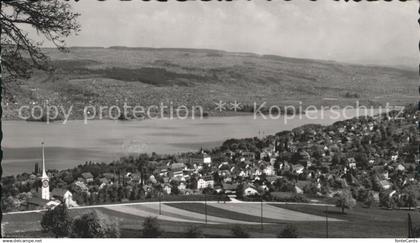 Beinwil See Panorama