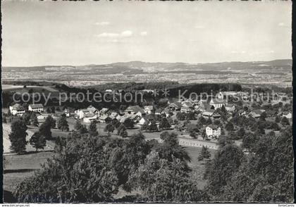 Beinwil See Panorama