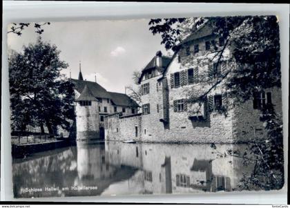 Hallwil Hallwilersee