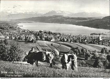 Hallwilersee Blick vom Eichberg