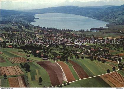 Hallwilersee Fliegeraufnahme