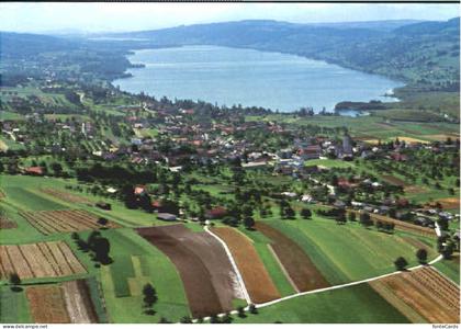 Hallwilersee Fliegeraufnahme