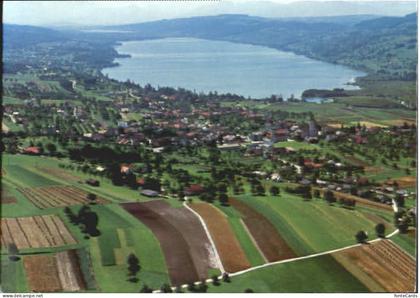 Hallwilersee Fliegeraufnahme x 1985
