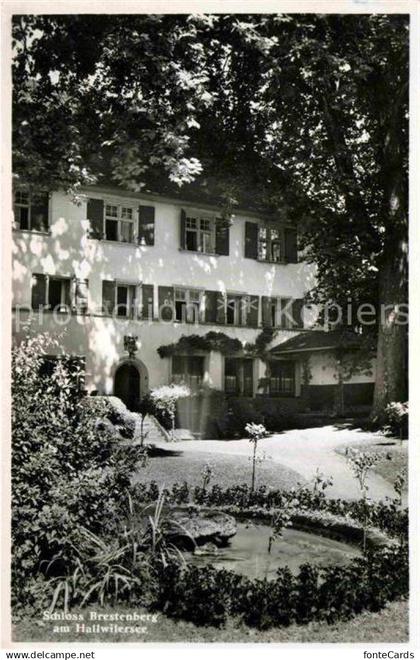 Hallwilersee Schloss Brestenberg