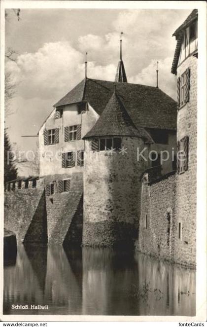 Hallwilersee Schloss Hallwil