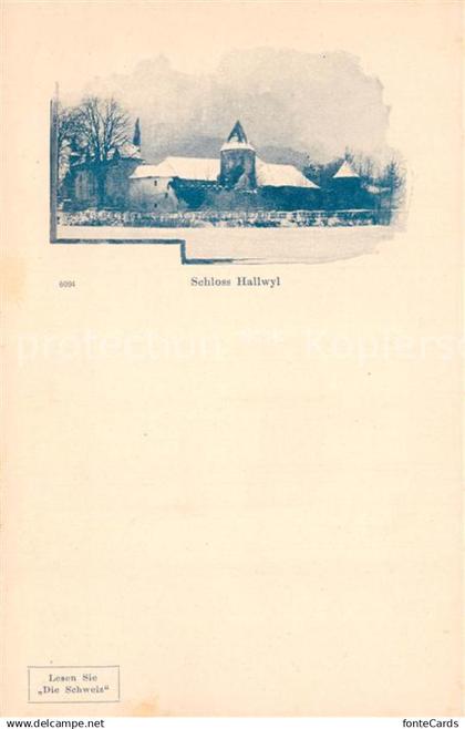 Hallwilersee Schloss Hallwyl