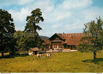 Menziken Wirtshus Trolerhof Kuehe