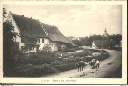 Moehlin itteldorf Kuehe *