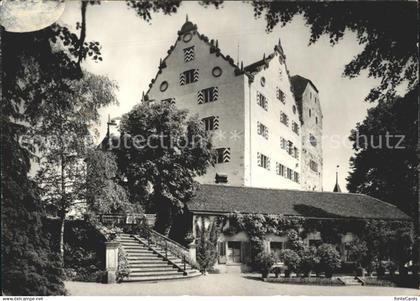 Wildegg Schloss Wildegg Schlosshof