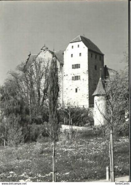 Wildegg Schloss Wildegg  ungelaufen ca. 1965