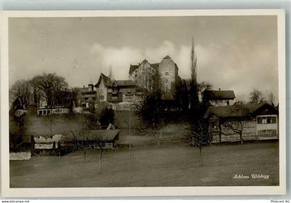 5103 Wildegg 1929 Foto AK Schloss Wildegg - 38211600