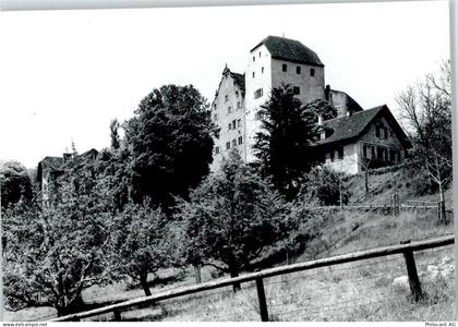 5103 Wildegg - Schloss, Bergfried - 50746035