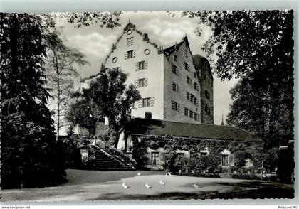 5103 Wildegg - Schloss Wildegg mit Burghof Enten - 10391198