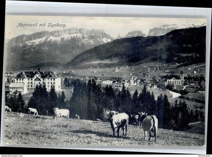 Appenzell IR Appenzell Sigelberg