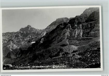 Tierwis - Schwägalp Transport - 11051231