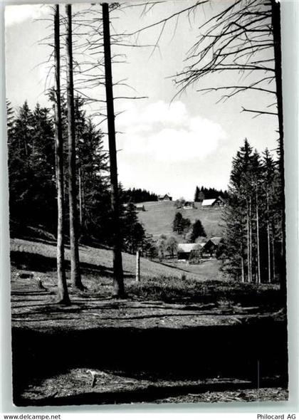 9428 Lachen - 39410845