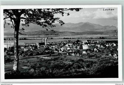 9428 Lachen - Baum - 10216540