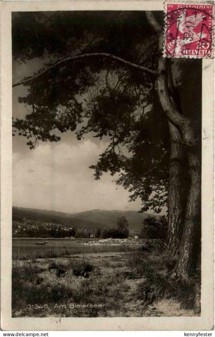 Bielersee