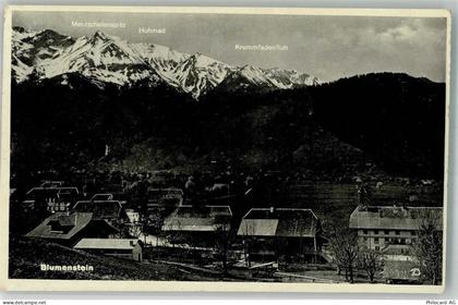 3638 Blumenstein Foto AK - 10735209