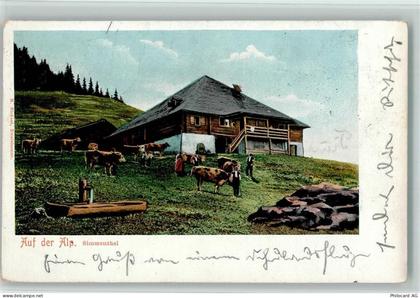 3762 Erlenbach im Simmental - Auf der Alp Kühe Simmenthal - 13113668