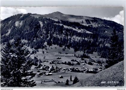 3785 Gsteig b. Gstaad - 51494778