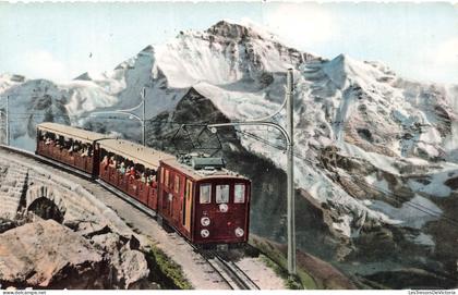 SUISSE - Schynige Platte Bahn - Jungfrau - Chemin de fer - Train - CP