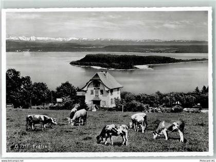 2515 Prêles Gebrauchsspuren Kuhherde See - 10397887
