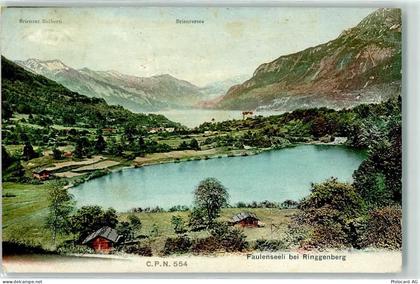 3852 Ringgenberg BE 1909 - Faulenseeli - 10599442