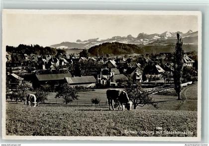 10196785 - Schwarzenburg