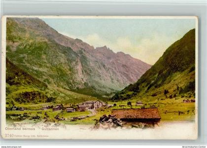 10196849 - Guttannen