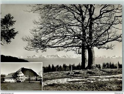 2738 Court Moron Court Gebrauchsspuren Hotel Harzer - 10397819