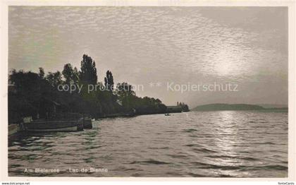 Bielersee Lac de Bienne BE in der Abendsonne