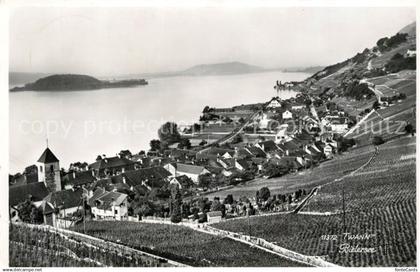 Bielersee Panorama