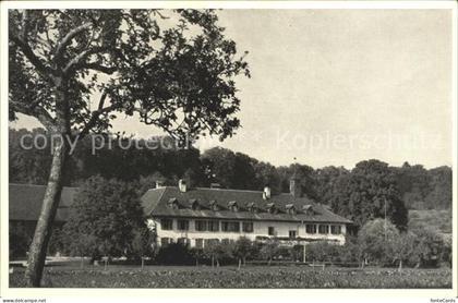 Bielersee Restaurant St. Petersinsel