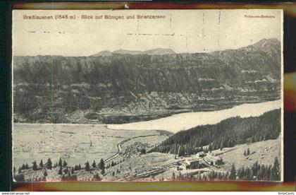 Boenigen Interlaken Brienzersee ungelaufen ca. 1910