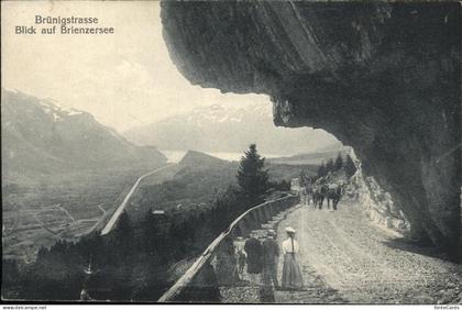 Brienzersee BE Bruenigstrasse