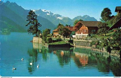 Ebligen Oberried Brienzersee BE Seepanorama