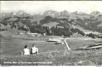 Hornberg Saanenmoeser