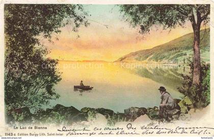 Lac de Bienne Bielersee BE Vue panoramique