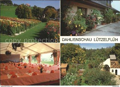 Luetzelflueh-Goldbach Dahlienschau