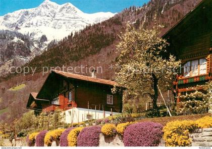 Oberried Brienzersee Panorama