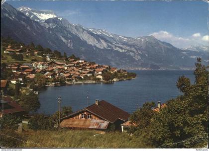 Oberried Brienzersee Panorama