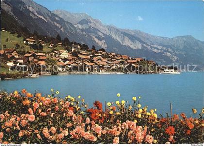 Oberried Brienzersee Partie am See