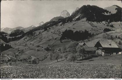 Oberwil Simmental Panorama