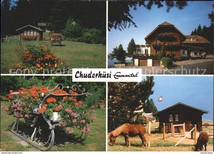 Roethenbach Emmental Chuderhuesi Blumenschlitten Pferde