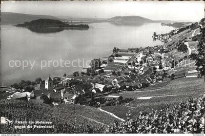 Twann Bielersee Petersinsel
